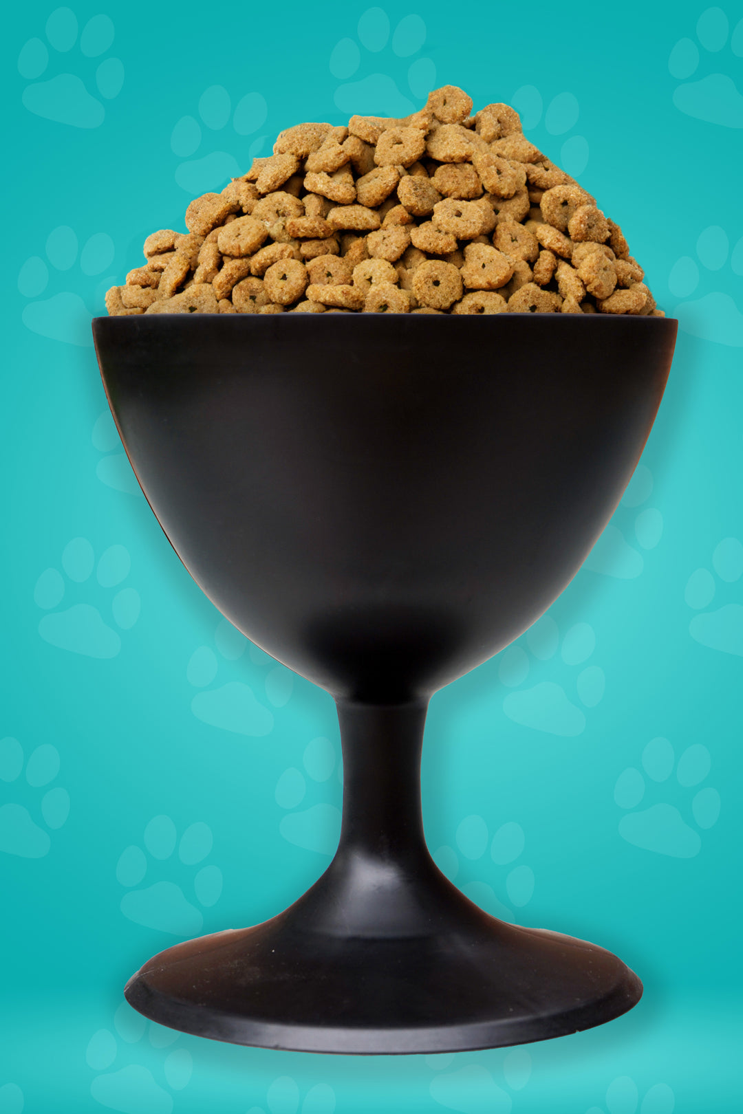 Elevate Your Dog's Dining Experience with The Wine Dog Dish- Dog Bowl