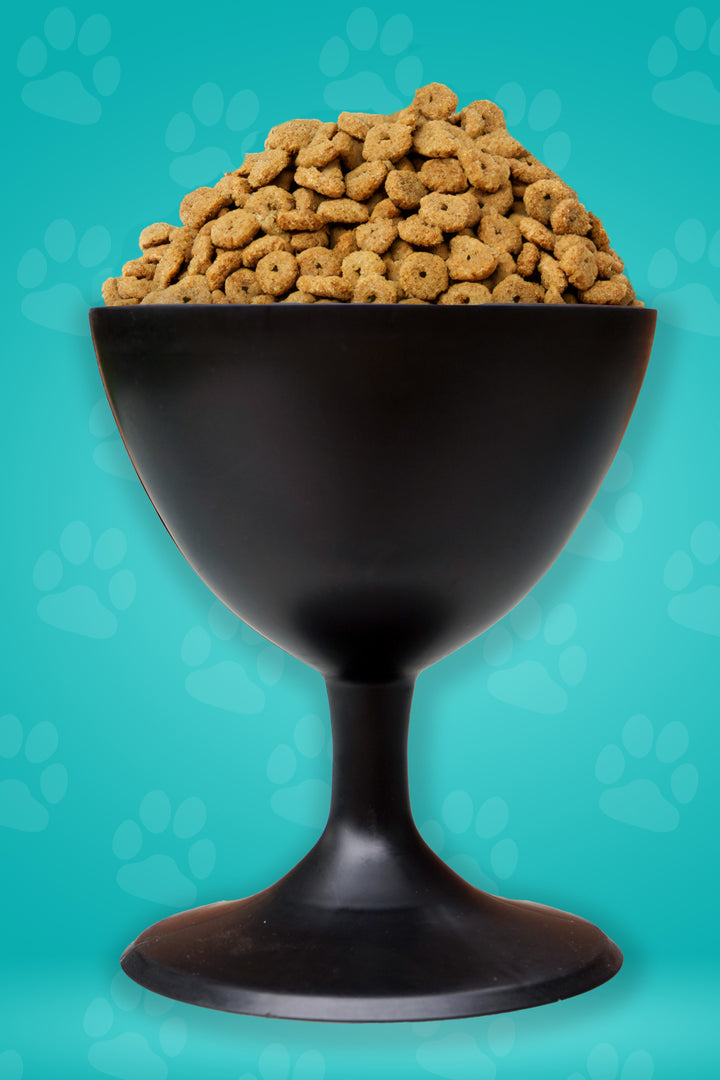 Elevate Your Dog's Dining Experience with The Wine Dog Dish- Dog Bowl