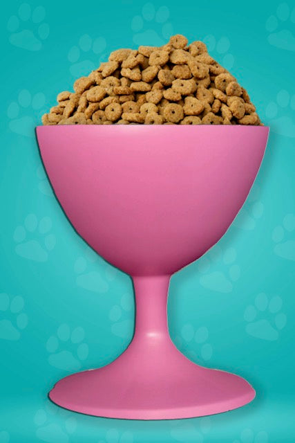 Elevate Your Dog's Dining Experience with The Wine Dog Dish- Dog Bowl