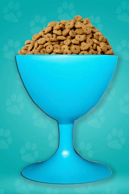 Elevate Your Dog's Dining Experience with The Wine Dog Dish- Dog Bowl